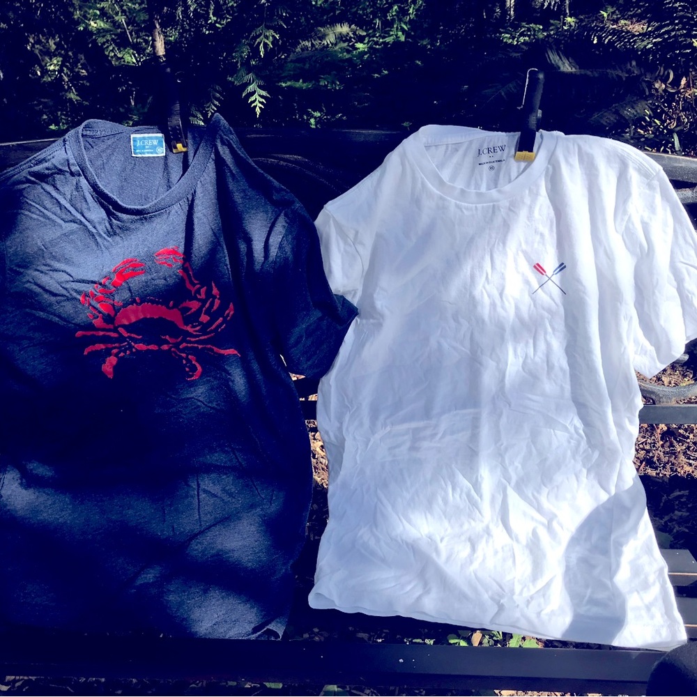 Bundle of Graphic summer shirts from J. Crew